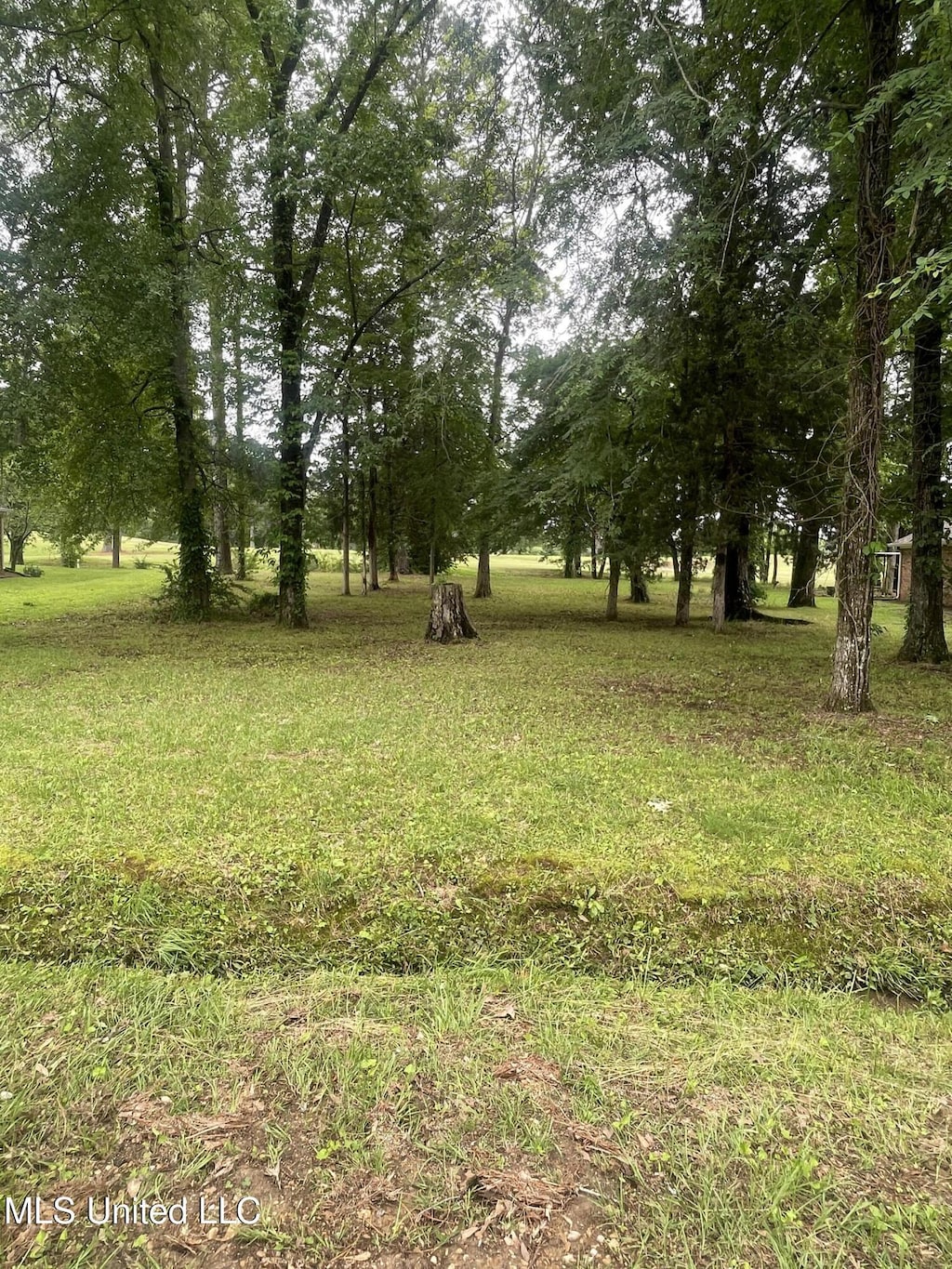 803 Oak Trl, Canton, MS 39046