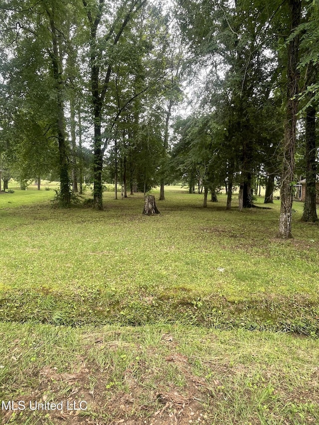 803 Oak Trl, Canton, MS 39046