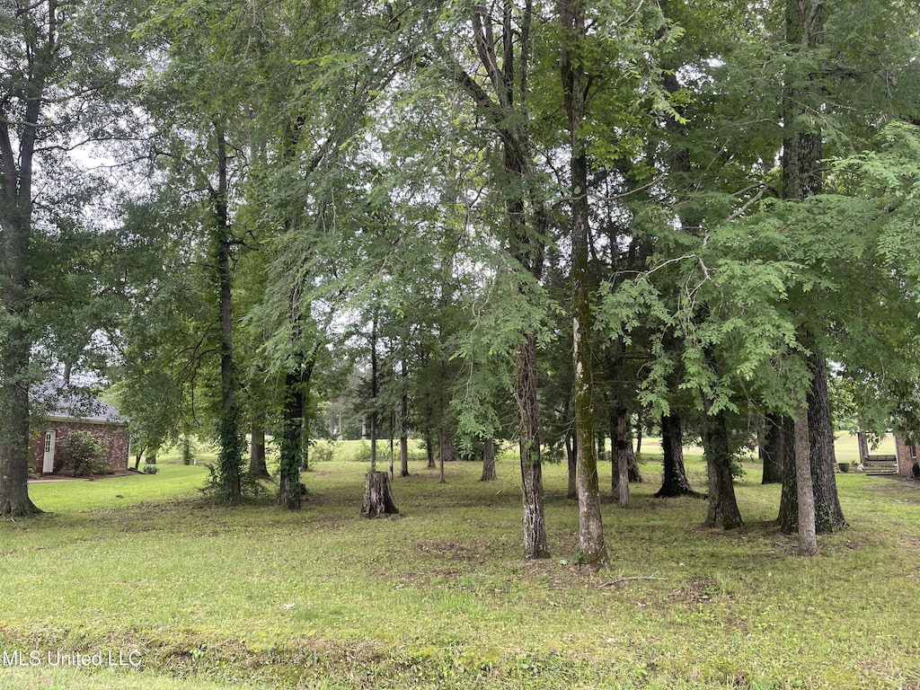 803 Oak Trl, Canton, MS 39046