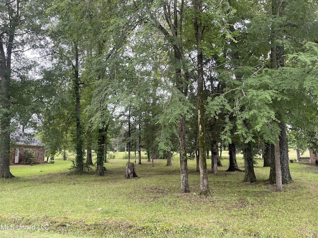 803 Oak Trl, Canton, MS 39046