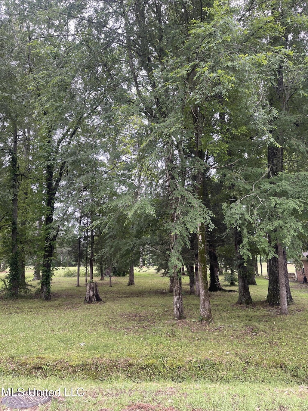 803 Oak Trl, Canton, MS 39046