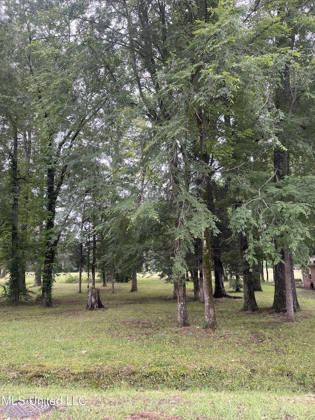 803 Oak Trl, Canton, MS 39046