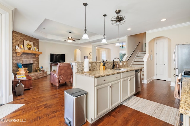 kitchen featuring a tray ceiling, pendant lighting, appliances with stainless steel finishes, light stone counters, and dark hardwood / wood-style flooring