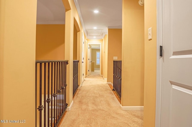 4655 Bonne Terre Dr, Nesbit, MS 38651 - corridor with carpet, ornamental molding, recessed lighting, and baseboards