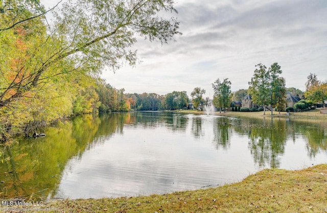 4655 Bonne Terre Dr, Nesbit, MS 38651 - water view with a heavily wooded area