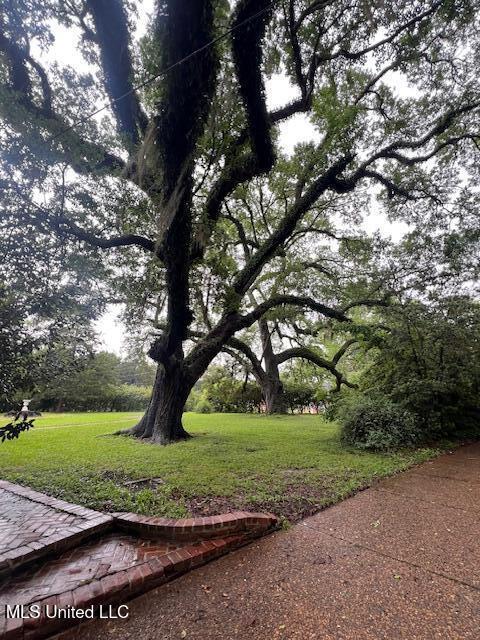 surrounding community with a yard