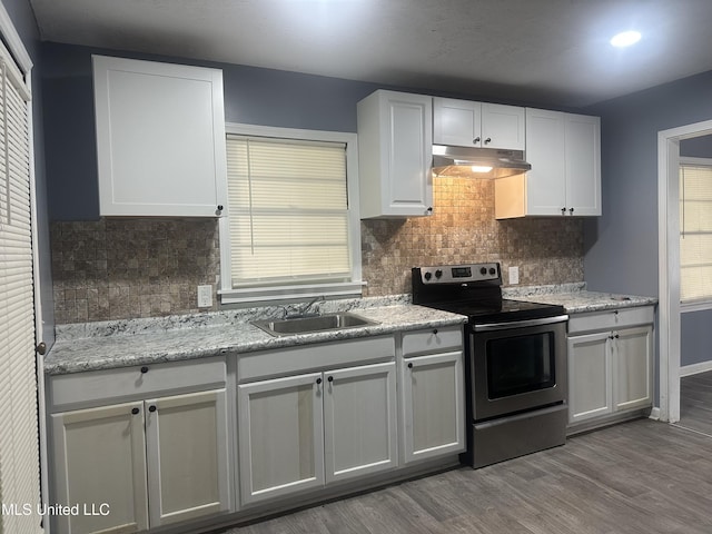 kitchen featuring backsplash, wood finished floors, a sink, stainless steel electric stove, and under cabinet range hood
