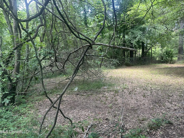 view of landscape with a wooded view
