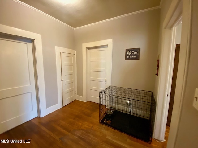 hallway with dark wood finished floors and crown molding