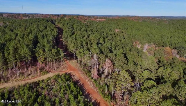 1992 S Peavy Rd, Chunky, MS 39323