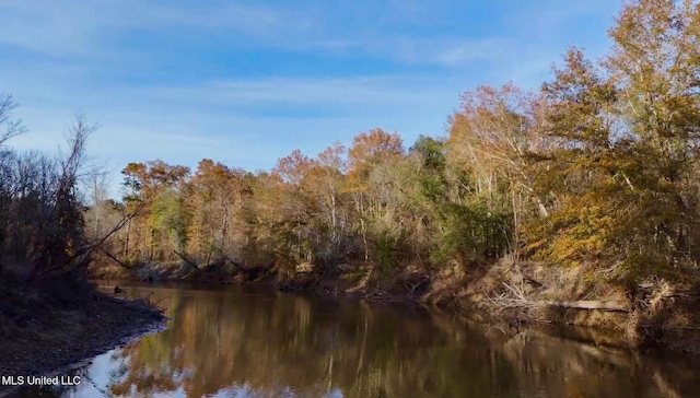 1992 S Peavy Rd, Chunky, MS 39323