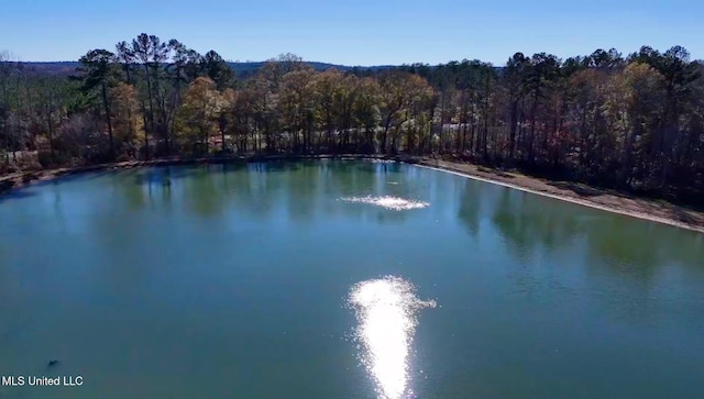 1992 S Peavy Rd, Chunky, MS 39323