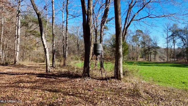 1992 S Peavy Rd, Chunky, MS 39323