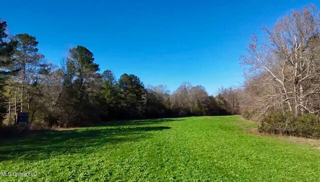1992 S Peavy Rd, Chunky, MS 39323