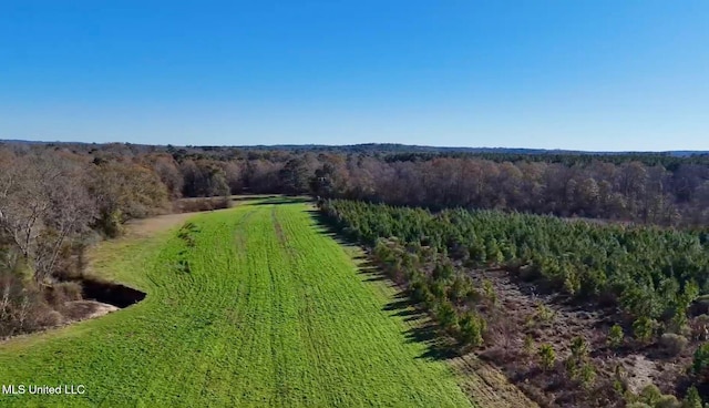 1992 S Peavy Rd, Chunky, MS 39323