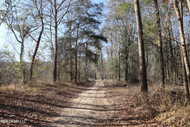 1992 S Peavy Rd, Chunky, MS 39323