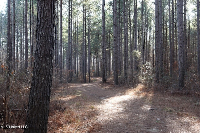 1992 S Peavy Rd, Chunky, MS 39323