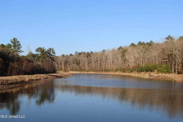 1992 S Peavy Rd, Chunky, MS 39323