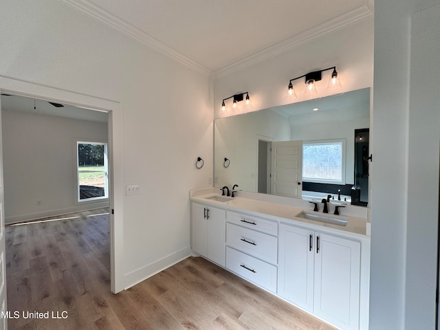 bathroom with vanity, ornamental molding, wood-type flooring, and a wealth of natural light