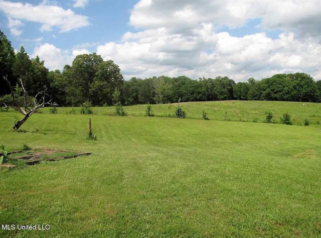 view of undeveloped land featuring rural landscape