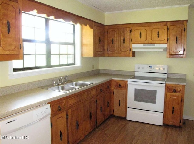 kitchen featuring white appliances, under cabinet range hood, a sink, dark wood-style flooring, and brown cabinetry