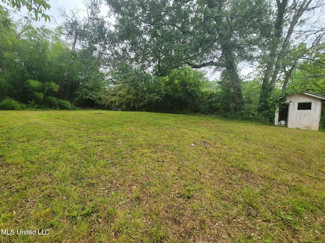 view of yard featuring a storage unit