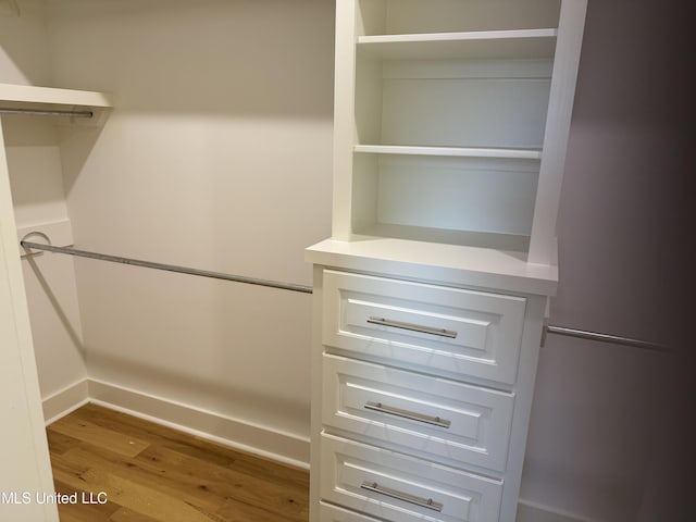 303 Birch Ct Lot 32, Canton, MS 39046 - spacious closet featuring wood finished floors