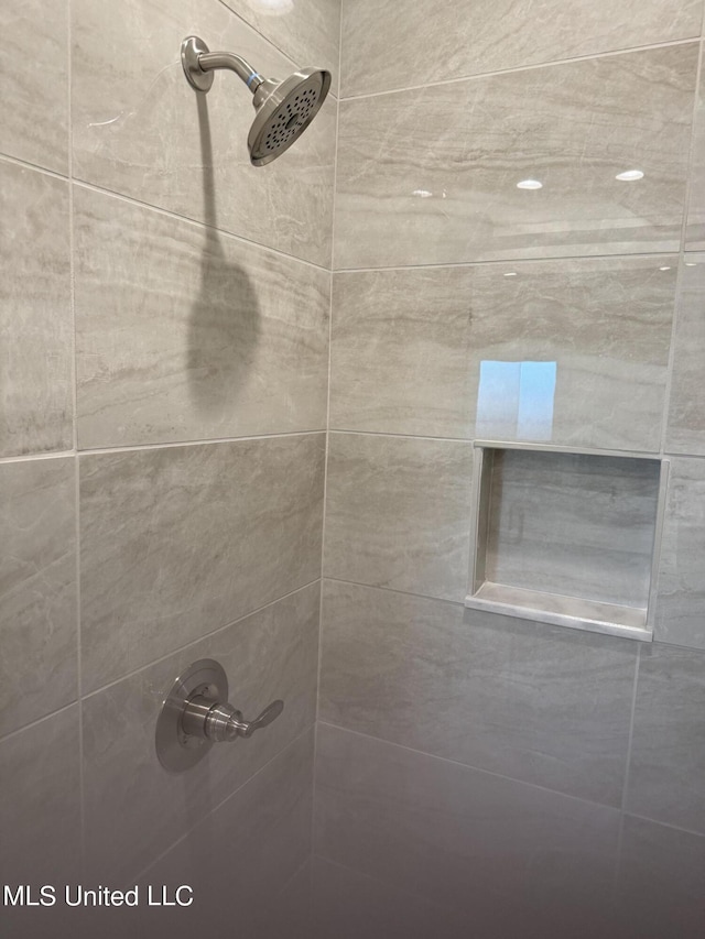 303 Birch Ct Lot 32, Canton, MS 39046 - room details with a tile shower