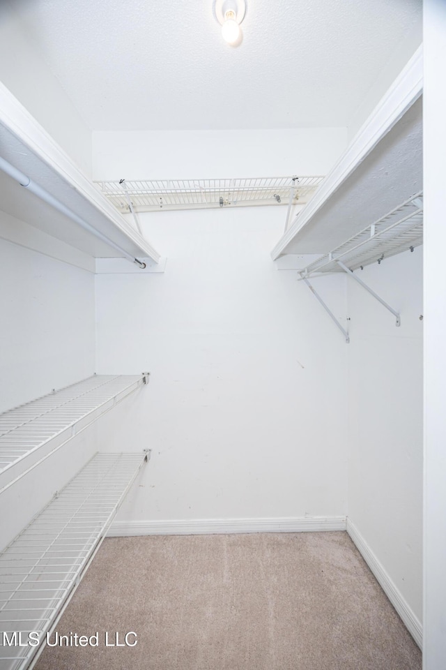 spacious closet featuring carpet