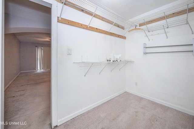 walk in closet featuring carpet