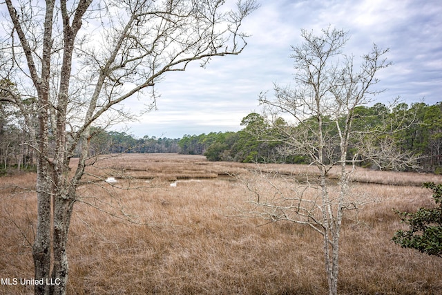 view of nature