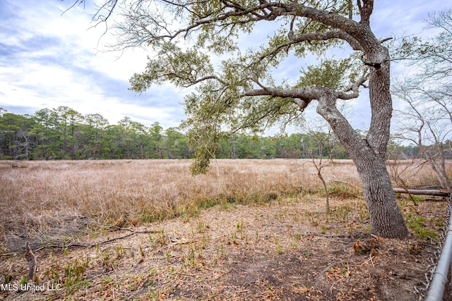 view of nature