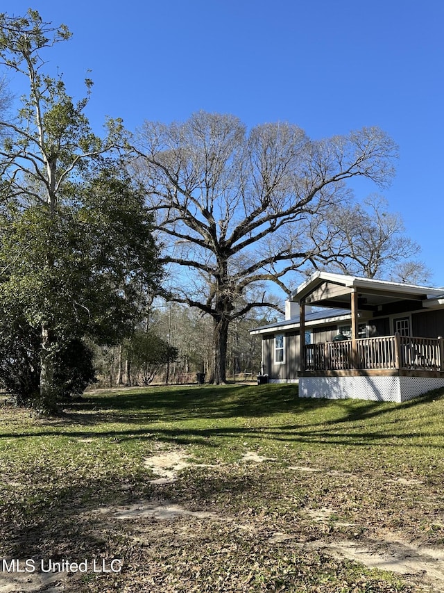 view of yard