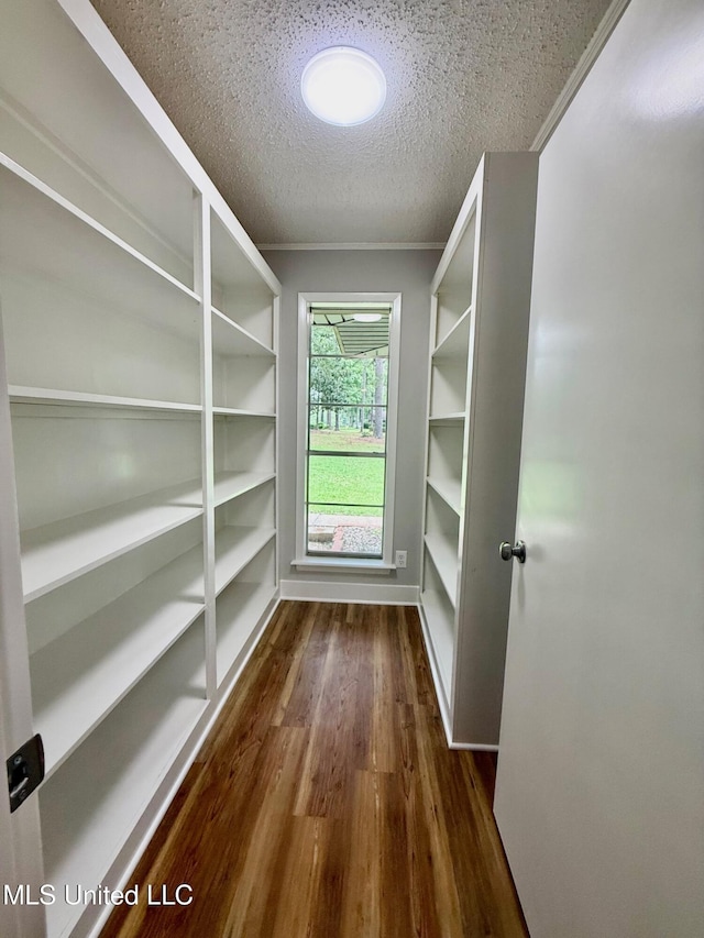 119 Chinquipin Ln, Florence, MS 39073 - view of storage area
