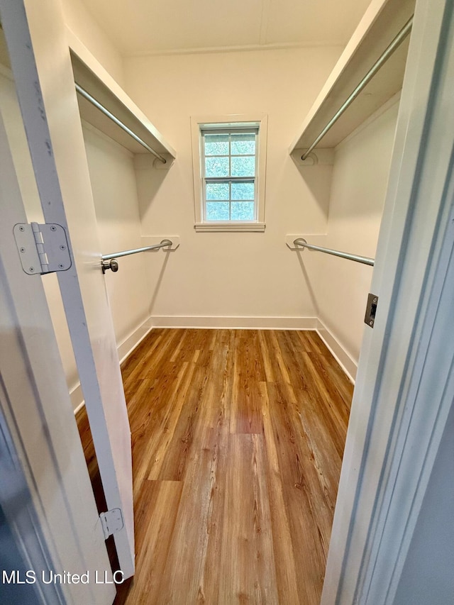 119 Chinquipin Ln, Florence, MS 39073 - spacious closet with wood finished floors