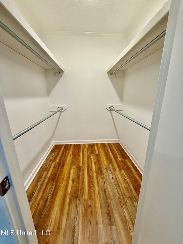 119 Chinquipin Ln, Florence, MS 39073 - spacious closet with wood finished floors