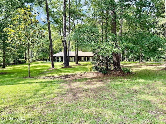 119 Chinquipin Ln, Florence, MS 39073 - view of grassy yard