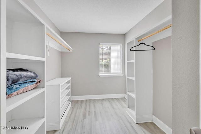 spacious closet with light wood-style floors