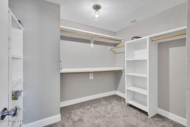 walk in closet with carpet flooring