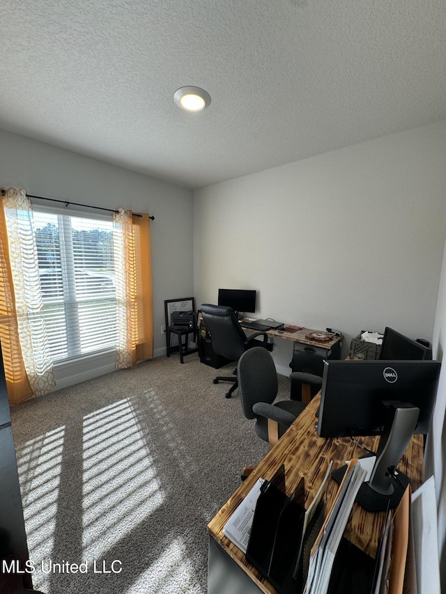 office space with carpet and a textured ceiling