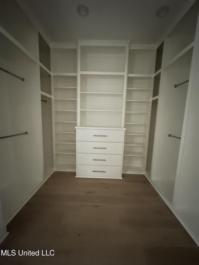 spacious closet featuring dark hardwood / wood-style floors