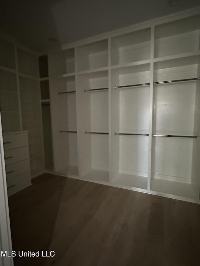 walk in closet featuring wood-type flooring