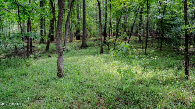 0000 Henderson Rd, Jackson, MS 39272