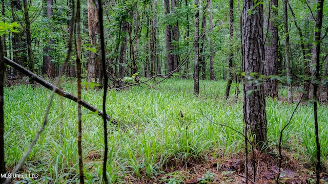 0000 Henderson Rd, Jackson, MS 39272