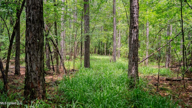 0000 Henderson Rd, Jackson, MS 39272