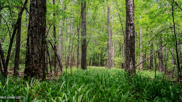 0000 Henderson Rd, Jackson, MS 39272