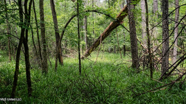 0000 Henderson Rd, Jackson, MS 39272