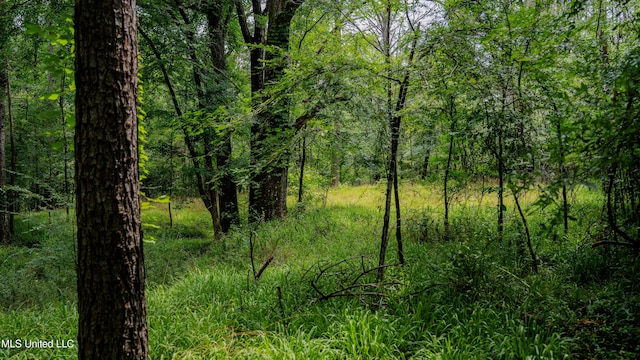 0000 Henderson Rd, Jackson, MS 39272