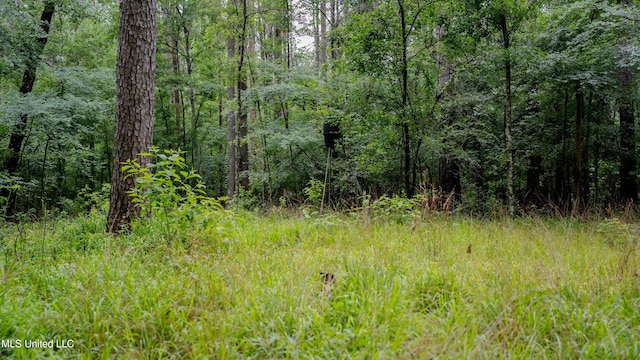 0000 Henderson Rd, Jackson, MS 39272