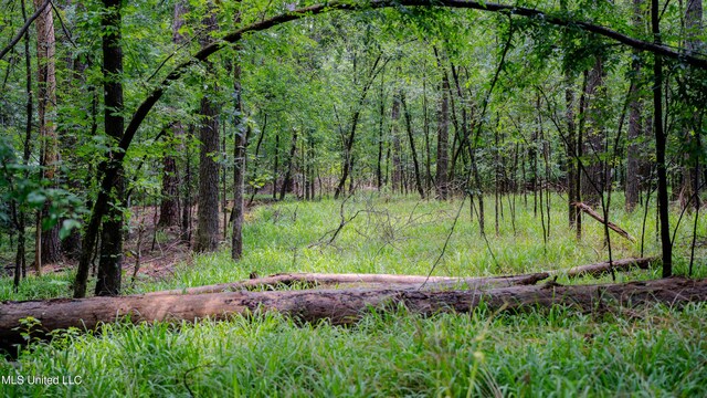 0000 Henderson Rd, Jackson, MS 39272